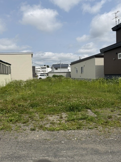 画像5